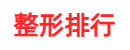 整形排行